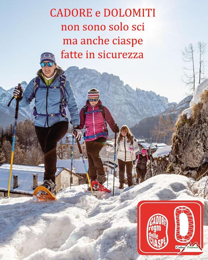 Villa Nani Pieve di Cadore Luaran gambar